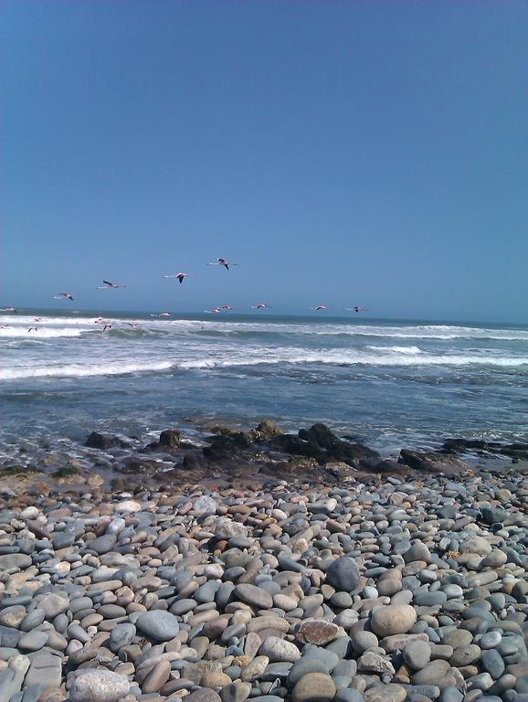 Hotel A La Mer Swakopmund Dış mekan fotoğraf